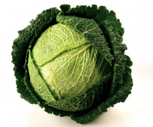 A Cabbage